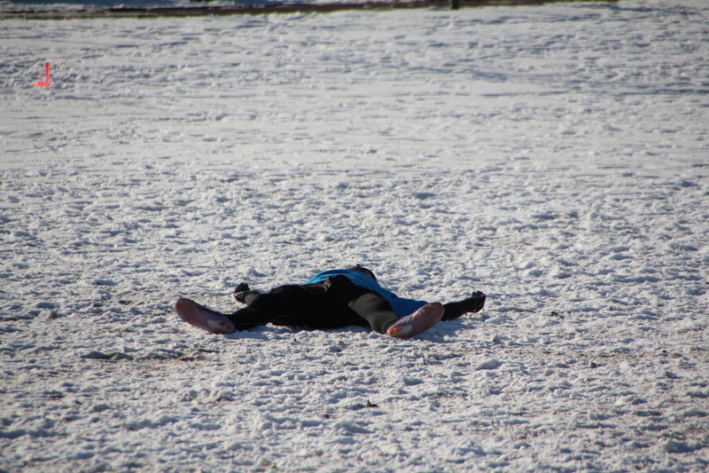 img_9337.jpg