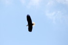 img_9310.jpg